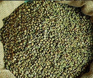 Green coffee beans in a jute sack