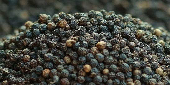 Sun-dried Malabar black peppercorns