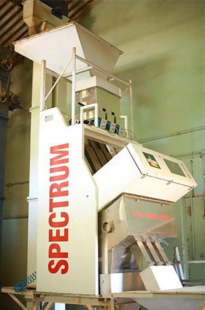The Spectrum grader at the Moolakara curing mill, Cherukattoor