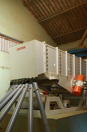 The Spectrum sorter line at the Moolakara mill